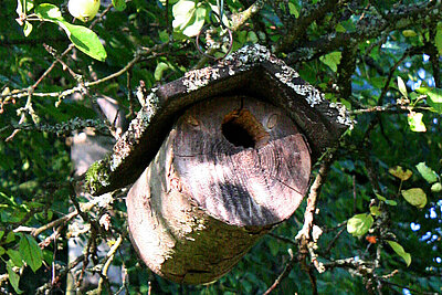 Jetzt Nistkästen aufhängen! Foto: © Ursula Bauer