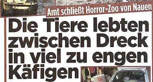 Die Tiere lebten zwischen Dreck und viel zu engen Käfigen – BZ
