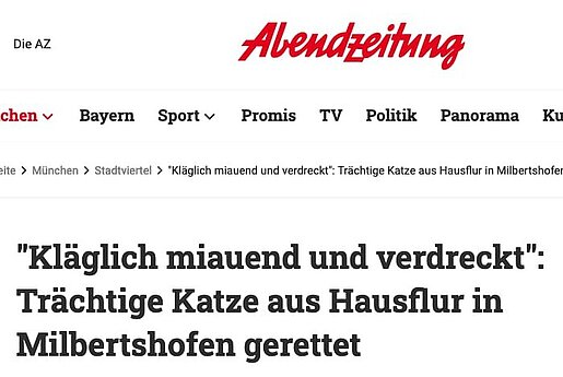 Kläglich miauend und verdreckt: – Abendzeitung München