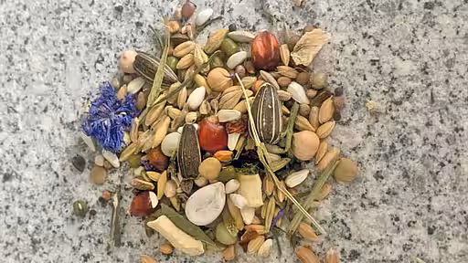 Hamster-Trockenfutter