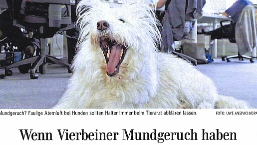 Wenn Vierbeiner Mundgeruch haben – Schwäbische Zeitung – Biberach