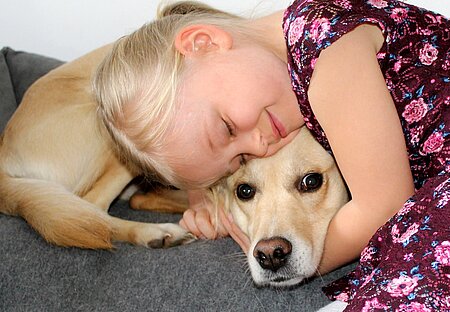 Hunde mögen es nicht, umarmt zu werden und können unter Umständen sogar zubeißen. Hunde mögen es nicht, umarmt zu werden und können unter Umständen sogar zubeißen