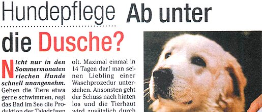 15. Oktober 2024 | Woche Exclusiv | Hundepflege: Ab unter die Dusche?