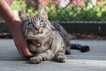 "Lilly" aus dem aktion tier Tierheim Zossen hat inzwischen ein schönes Zuhause gefunden. 