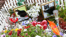 Tierfriedhof