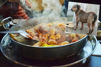Hundefleischverbot in Südkorea