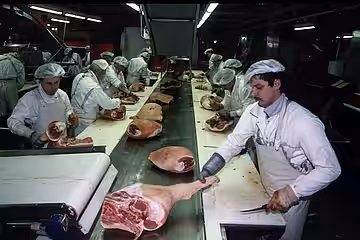 Nach dem Schlachten wird das tote Tier zerlegt Nach dem Schlachten wird das tote Tier zerlegt