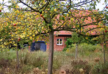 Hausgarten
