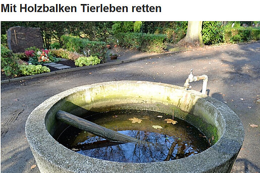 Reichickendorfer Allgemeine Zeitung: "Mit Holzbalken Tierleben retten"