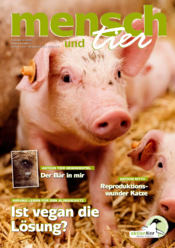 Ausgabe 3/2020