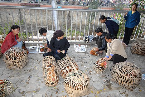 Auf asiatischen Märkten werden zum Teil mehr als 120 verschiedene Tierarten verkauft