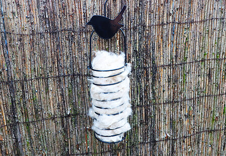 Kapok-Nistmaterial in einem Futterknödelhalter