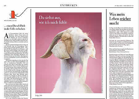 Artikel in DIE ZEIT