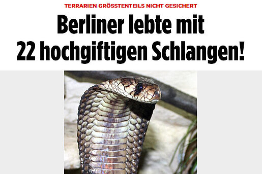 BILD, 11. April 2017