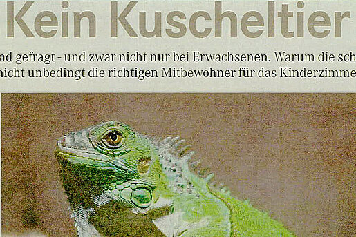 Mitteldeutsche Zeitung, 06. Juli 2016