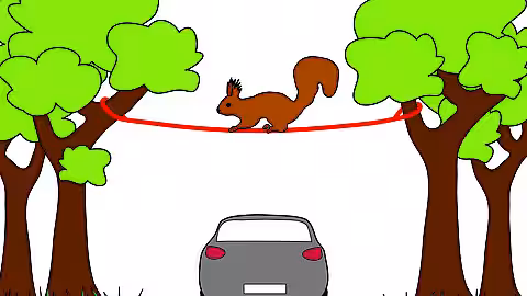 Eichhörnchenseil von aktion tier