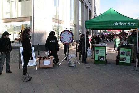 aktion tier Informationsstand am Berliner Alexanderplatz 