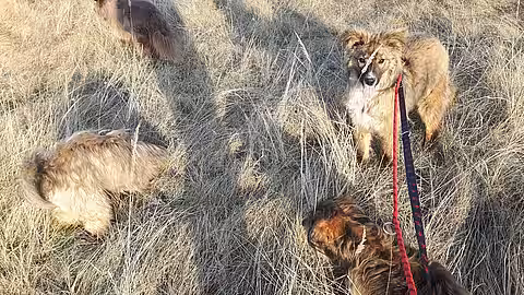 Nuri auf ihrem ersten Spaziergang