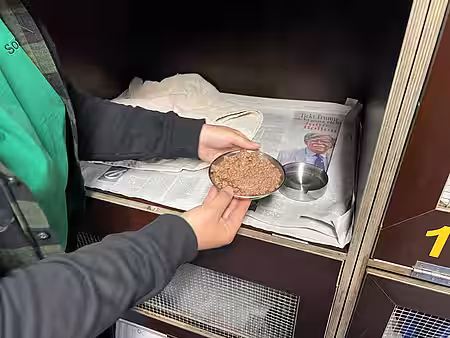 Futter und Wasser wurden natürlich bereitgestellt