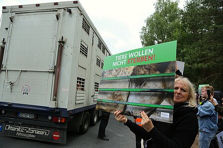 Vor den Schlachthof-Toren: Aktivisten verabschieden sich von den Schweinen.