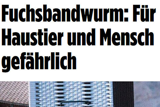 BILD, 1. Juli 2016