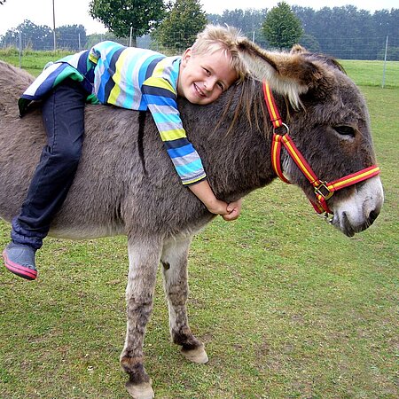 Manche Kinder finden einfach alle Tiere bezaubernd. Manche Kinder finden einfach alle Tiere bezaubernd.