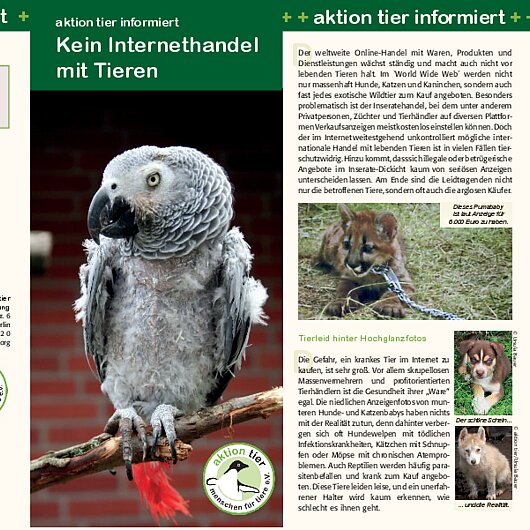 aktion tier informiert <br/>Kein Internethandel mit Tieren! "Kein Internethandel mit Tieren"