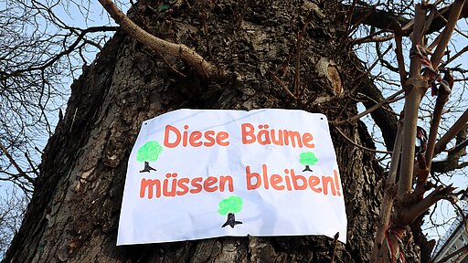 Bürgerproteste gegen Baumfällungen sind oft erfolgreich.