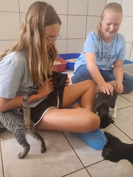 Ein Highlight des Besuchs waren definitiv die Katzenbabys.