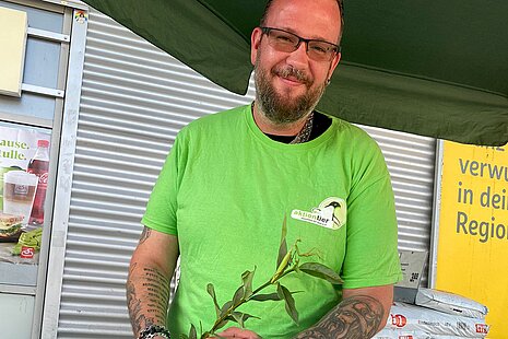 David Barndt, Mitarbeiter des aktion tier Aufklärungsteams, hat die Fangschrecke aus dem Sonnenschirm auf einen Zweig gesetzt.