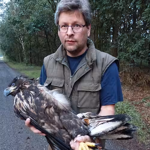 Dr. Florian Brandes bei der Bergung des Seeadlers.