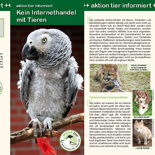 aktion tier informiert <br/>Kein Internethandel mit Tieren! "Kein Internethandel mit Tieren"