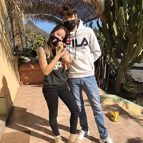 Besucher im Tierheim Acción del Sol auf Teneriffa, Spanien