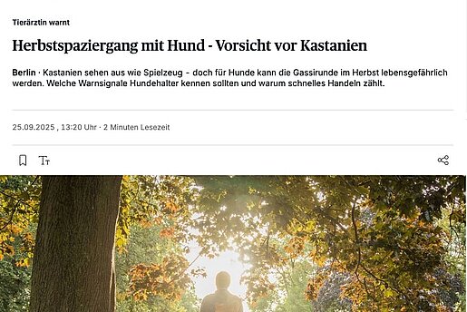 Tierärztin warnt – Herbstspaziergang mit Hund - Vorsicht vor Kastanien