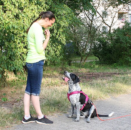 Beschäftigung bitte mit dem Hund, statt mit dem Handy! 