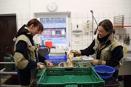 Vorbereitungen in der Futteküche