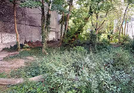 In diesem von hohen Mauern umgebenen Innenhof können keine Igel überleben. In diesem von hohen Mauern umgebenen Innenhof können keine Igel überleben.