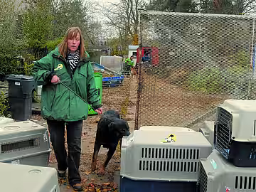 aktion tier übernimmt bei der Räumung unter anderem 65 Hunde. 