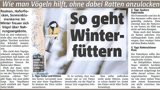 28.12.2024 | Lüner Anzeiger | Wie man Vögeln hilft, ohne dabei Ratten anzulocken