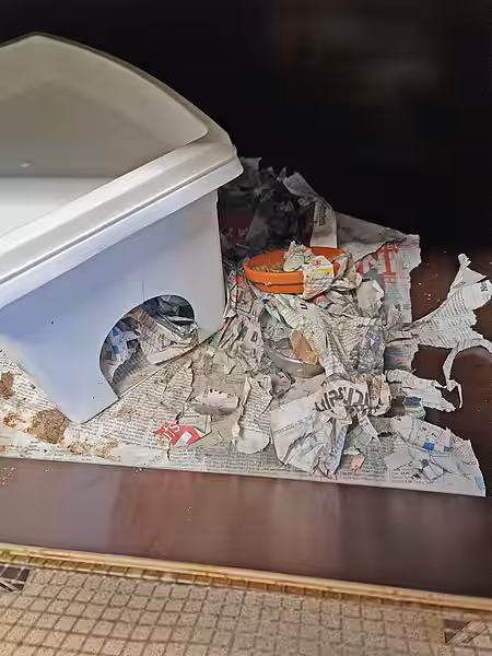 Eine dreckige Stationsbox eines Igels mit Zeitungspapier, Häuschen und Näpfen.