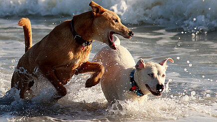 Foto: Counselling Lizenz: CC0, Public Domain