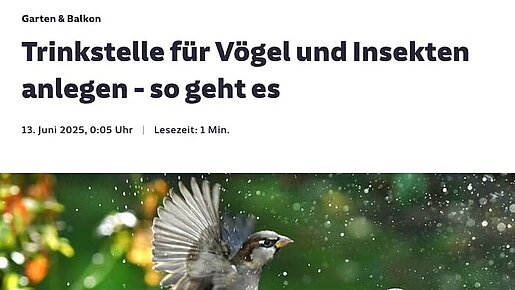Suddeutsche Zeitung - Trinkstelle für Vögel und Insekten anlegen - so geht es