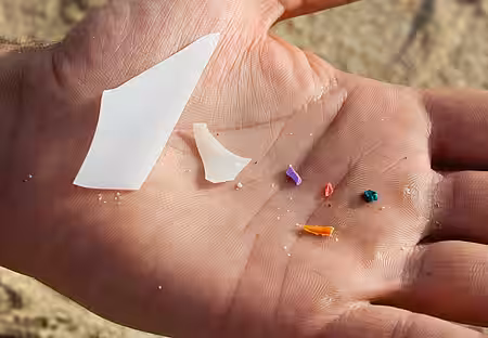 Mikroplastik schadet Mensch, Tier und Umwelt. Mikroplastik