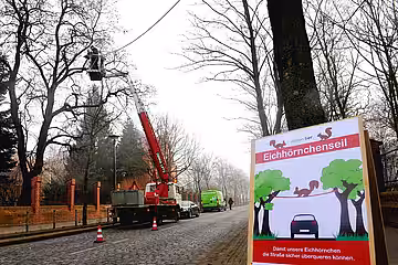 Beim Spannen des Seils über den Müggelseedamm war die Landschaft in Nebel gehüllt.