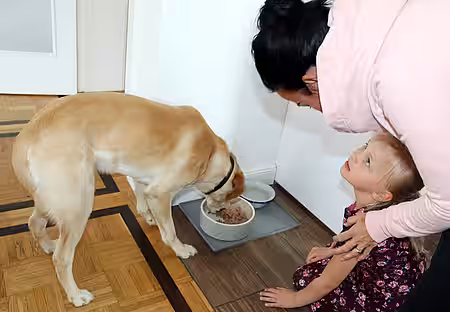 Wenn es ums Fressen geht, verstehen viele Hunde keinen Spaß.