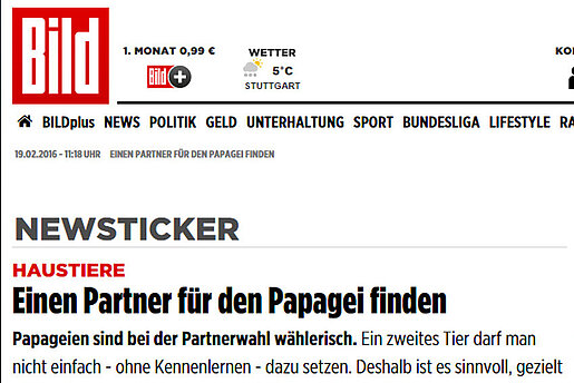 BILD Zeitung, 19. Februar 2016