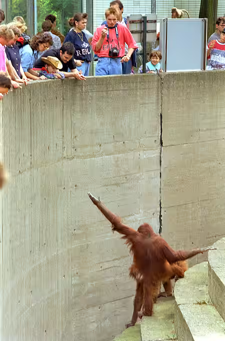 Eine artgerechte Haltung von Wildtieren in Gefangenschaft ist nicht möglich. Eine artgerechte Haltung von Wildtieren in Gefangenschaft ist nicht möglich.