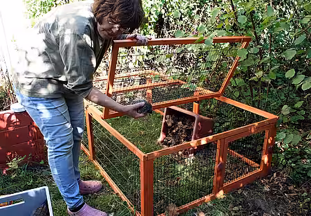Tanya Lenn setzt die Igel in das Eingewöhnungs-Gehege. Tanya Lenn setzt die Igel in das Eingewöhnungs-Gehege.