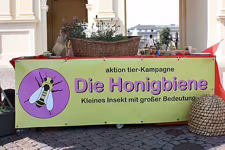 Tierschutz, Kampagne, Naturschutz, Honigbiene, Bestäubung