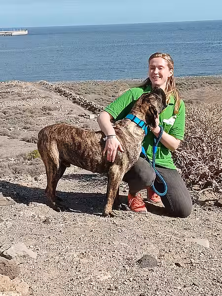 Der Hund freute sich über den Ausflug zum Strand und bedankte sich bei Hanna.